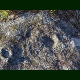 Petroglifos C e A da rocha da Ermida (Eiras)